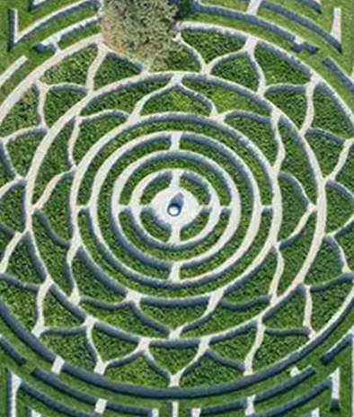 Maze Garden