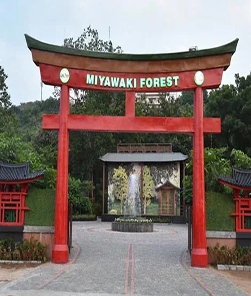 Miyawaki Forest