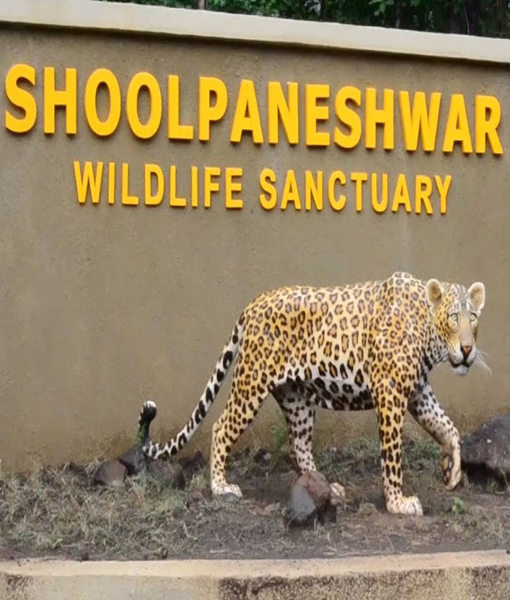 Shoolpaneshwar Wildlife Sanctuary